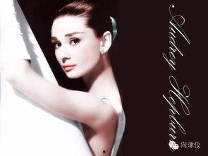 美丽人生的演员,探寻演员们的光影传奇