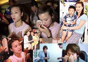 娱乐圈家暴,揭开明星家庭背后的黑暗面